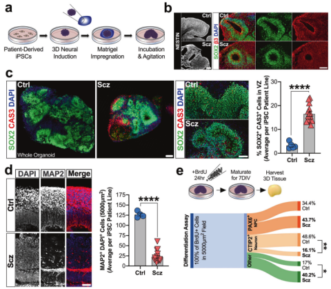 1676266345511077280.png 02.png