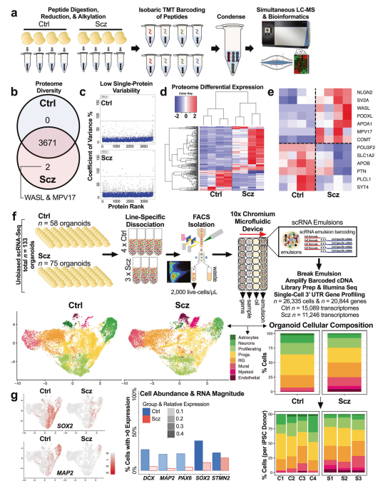 1676266350718052368.png 03.png