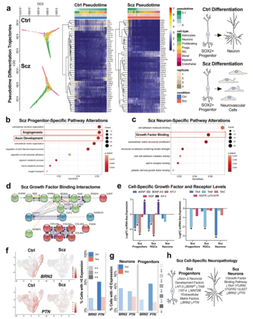 1676266355941023151.png 04.png